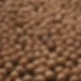 Close-up of fish food pellets enriched with amoxicillin