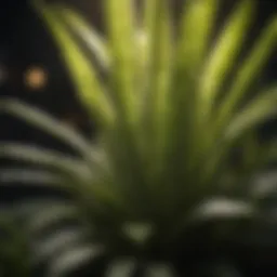 Close-up view of a COB LED light illuminating plants in a controlled environment.