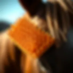 A close-up of a curry comb designed for equine grooming, showcasing its unique texture.