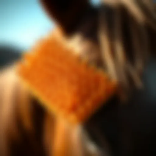 A close-up of a curry comb designed for equine grooming, showcasing its unique texture.