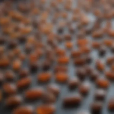Different types of injectable horse wormers displayed on a table
