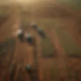Aerial view of sustainable farming practices in Africa