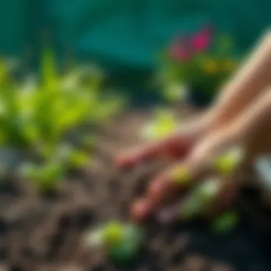 Eco-friendly practices in sustainable gardening