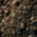 Rich texture of certified organic garden soil