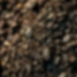 Rich texture of certified organic garden soil