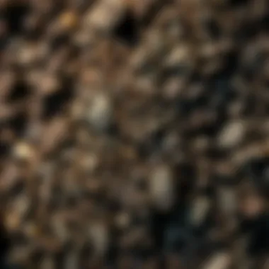 Rich texture of certified organic garden soil