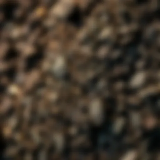 Rich texture of certified organic garden soil