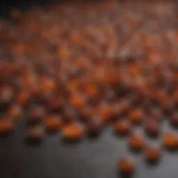 Chemical composition of Chinese roach poison