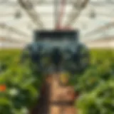 A high-tech dual heater and fan system in an agricultural greenhouse