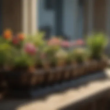 A selection of different types of heavy duty bulb planters displayed on a garden table