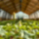 Understanding OMRI Listed Copper Fungicides in Agriculture Introduction