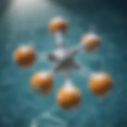 Chemical structure of common pool sanitizers