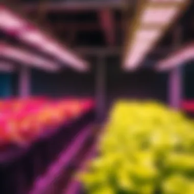 Comparison of Grow Light Types Comparison chart of different types of grow lights