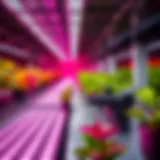 Spectrum Analysis of Professional Grow Lights Spectrum analysis of grow lights showing various wavelengths