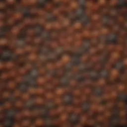A close-up of various seeds showcasing their unique textures and colors