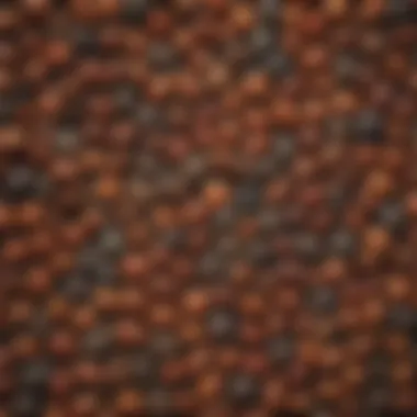 A close-up of various seeds showcasing their unique textures and colors