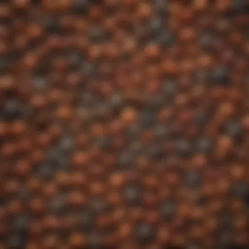 A close-up of various seeds showcasing their unique textures and colors