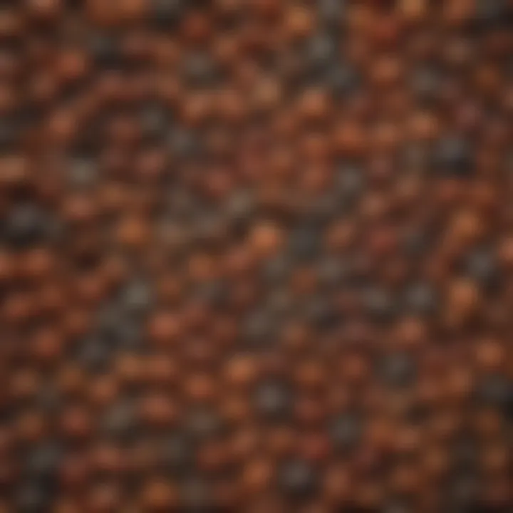 A close-up of various seeds showcasing their unique textures and colors