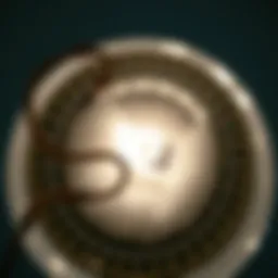 Clogged dryer vent showing lint buildup