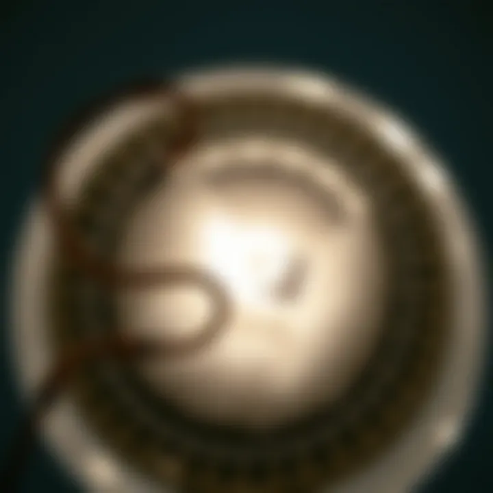 Clogged dryer vent showing lint buildup