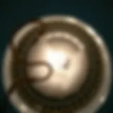 Lint Buildup in Dryer Vent Clogged dryer vent showing lint buildup