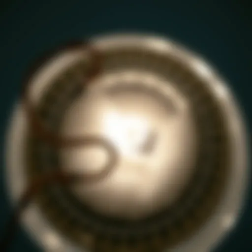 Lint Buildup in Dryer Vent Clogged dryer vent showing lint buildup