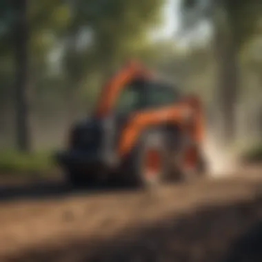 Demonstration of effective land clearing using a skid steer with a rotary mulcher