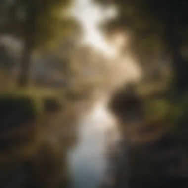 A community clean-up effort near a contaminated water body